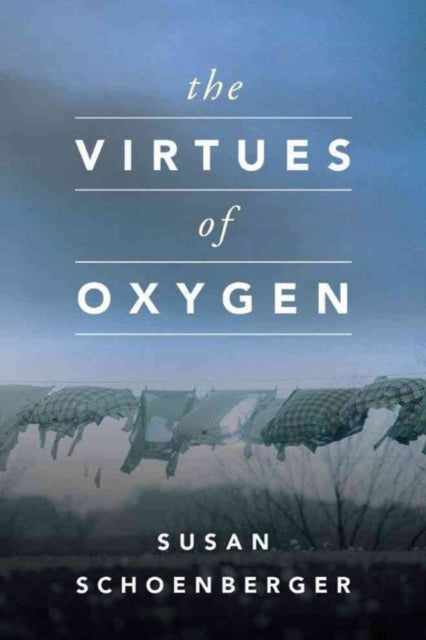 The Virtues of Oxygen