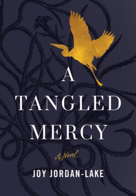 A Tangled Mercy: A Novel