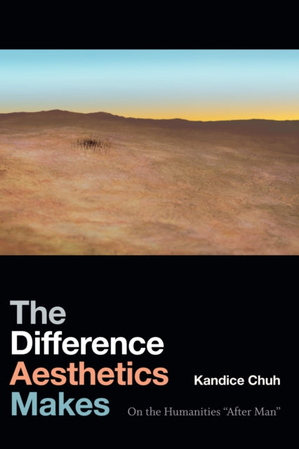 The Difference Aesthetics Makes  On the