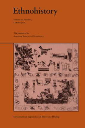 Mesoamerican Experiences of Illness and Healing