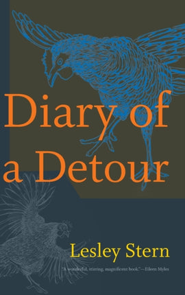 Diary of a Detour