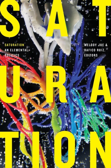 Saturation: An Elemental Politics