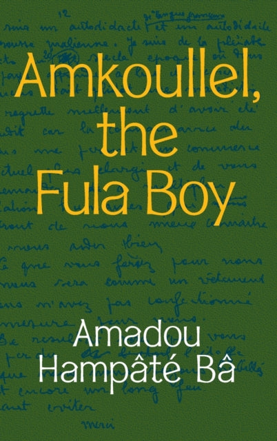 Amkoullel, the Fula Boy