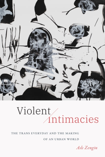 Violent Intimacies  The Trans Everyday and the Making of an Urban World