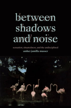 Between Shadows and Noise: Sensation, Situatedness, and the Undisciplined