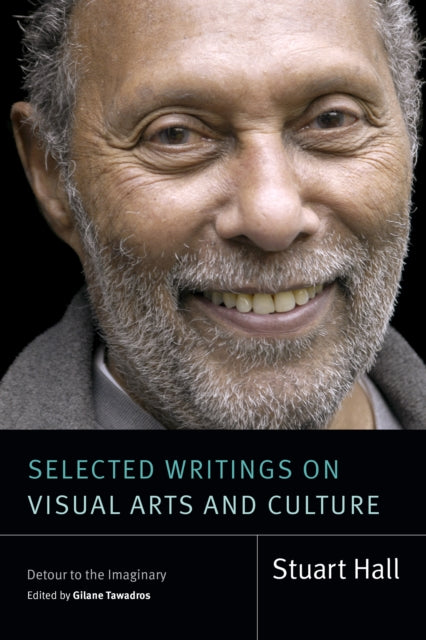 Selected Writings on Visual Arts and Culture  Detour to the Imaginary