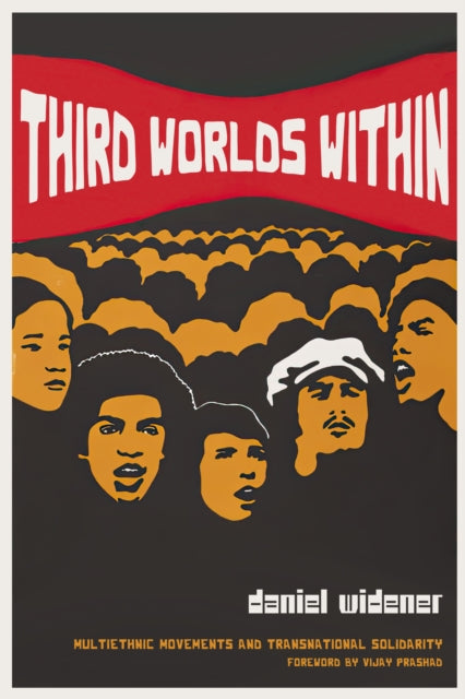 Third Worlds Within  Multiethnic Movements and Transnational Solidarity