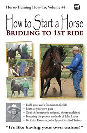How to Start a Horse Bridling to 1st Ride