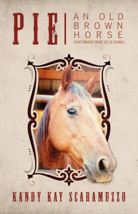 Pie An Old Brown Horse That Knows What He Is Doing