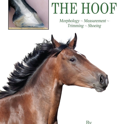 A Modern Look At  THE HOOF Morphology  Measurement  Trimming  Shoeing