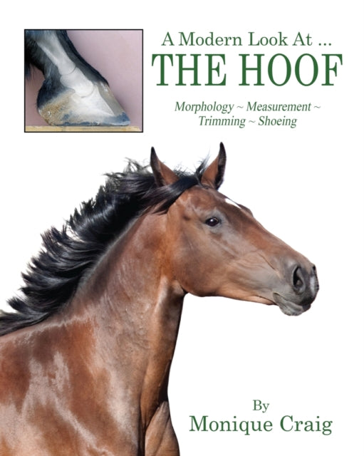 A Modern Look At  THE HOOF Morphology  Measurement  Trimming  Shoeing