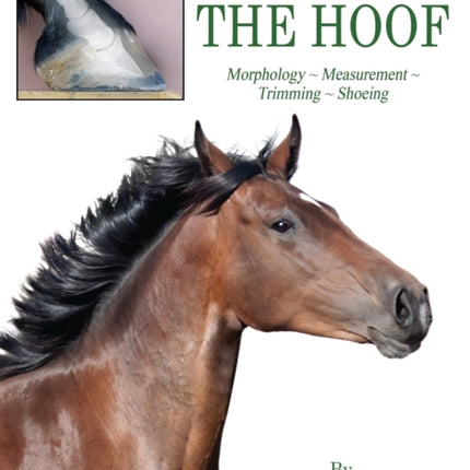 A Modern Look At  THE HOOF Morphology  Measurement  Trimming  Shoeing