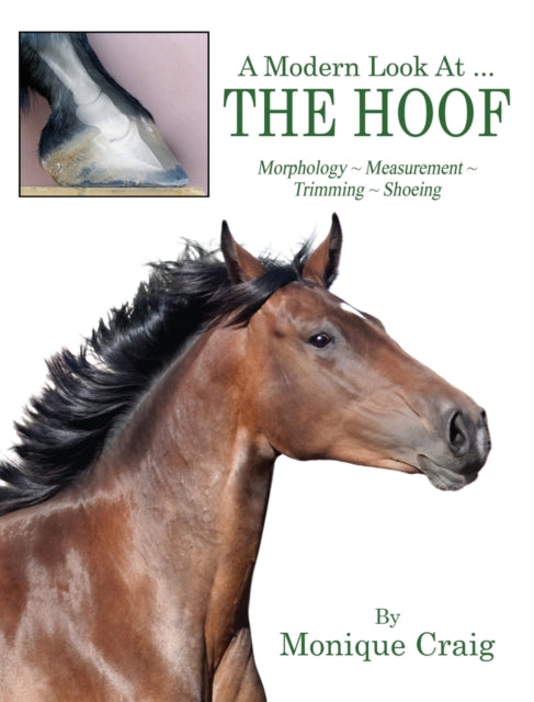 A Modern Look At  THE HOOF Morphology  Measurement  Trimming  Shoeing