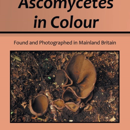 Ascomycetes in Colour