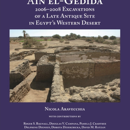 'Ain el-Gedida: 2006-2008 Excavations of a Late Antique Site in Egypt's Western Desert (Amheida IV)