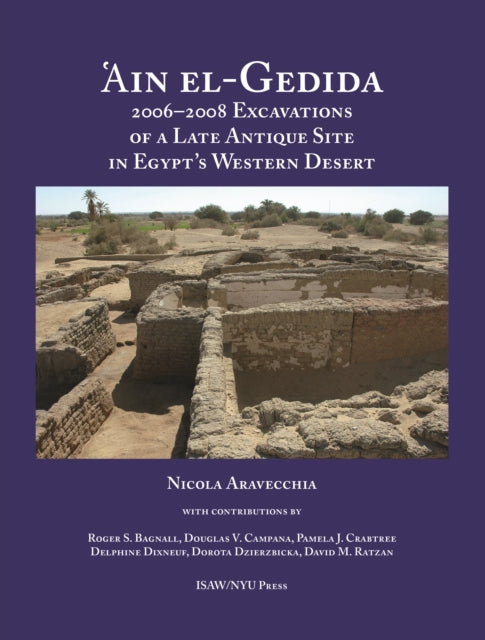 'Ain el-Gedida: 2006-2008 Excavations of a Late Antique Site in Egypt's Western Desert (Amheida IV)