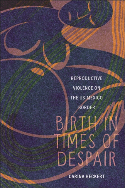 Birth in Times of Despair  Reproductive Violence on the USMexico Border