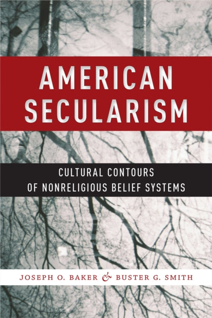 American Secularism: Cultural Contours of Nonreligious Belief Systems