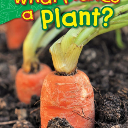 What Makes a Plant