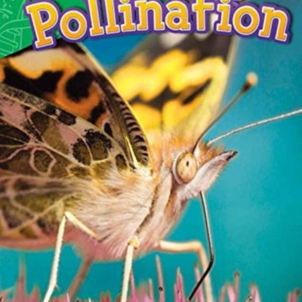 Pollination