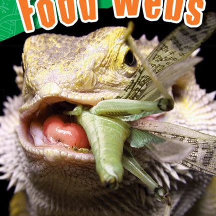 Food Webs