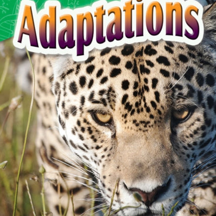 Animal Senses