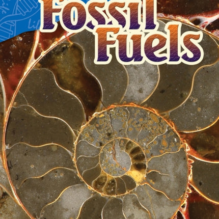 The Story of Fossil Fuels