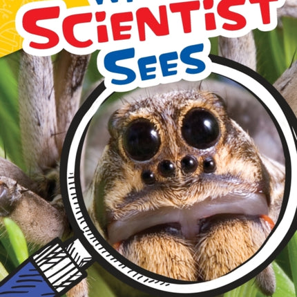 What a Scientist Sees