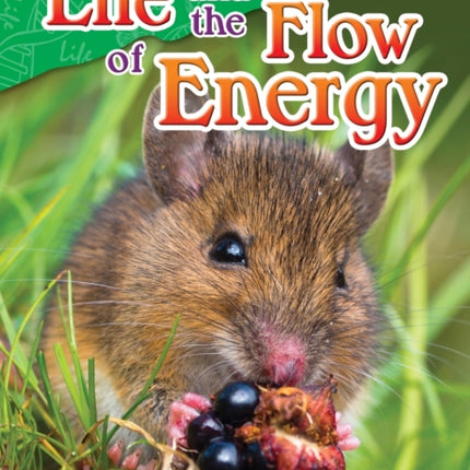 Life and the Flow of Energy