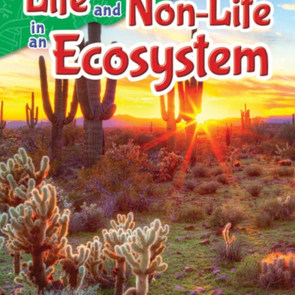 Life and NonLife in an Ecosystem