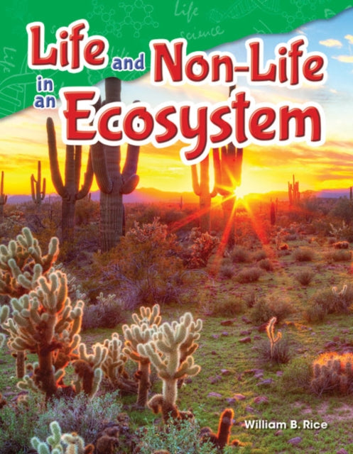 Life and NonLife in an Ecosystem