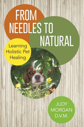 From Needles to Natural Learning Holistic Pet Healing