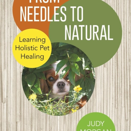 From Needles to Natural Learning Holistic Pet Healing