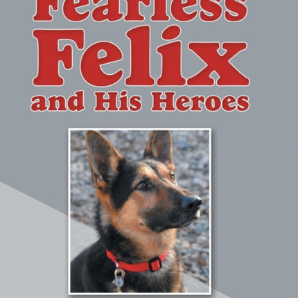Fearless Felix and His Heroes