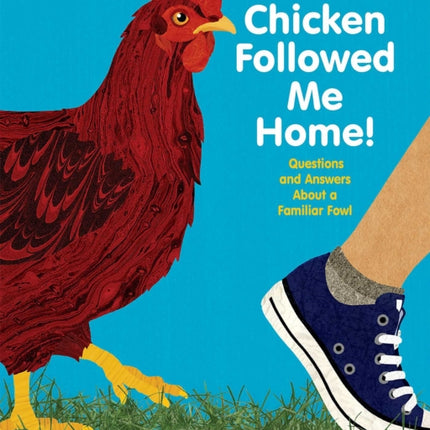 A Chicken Followed Me Home!: Questions and Answers about a Familiar Fowl