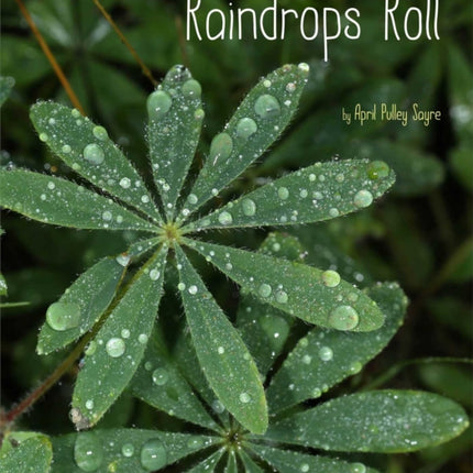 Raindrops Roll