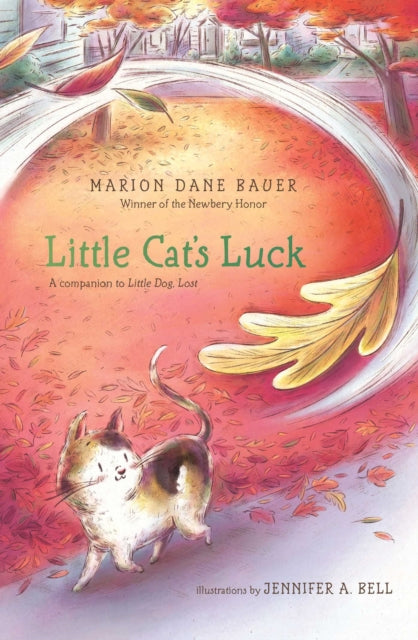 Little Cat's Luck