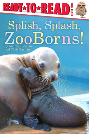 Splish, Splash, Zooborns!: Ready-To-Read Level 1