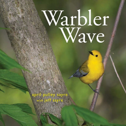 Warbler Wave