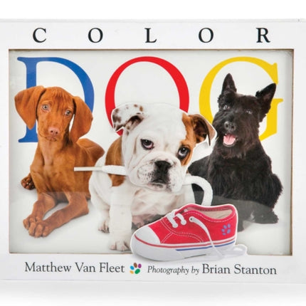 Color Dog