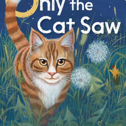 Only the Cat Saw