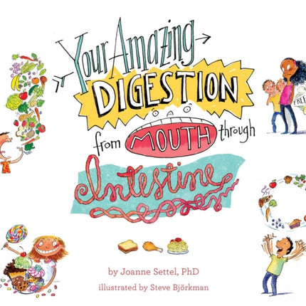 Your Amazing Digestion from Mouth through Intestine