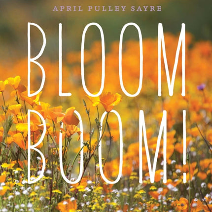 Bloom Boom