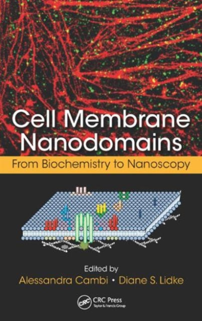 Cell Membrane Nanodomains: From Biochemistry to Nanoscopy