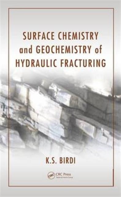Surface Chemistry and Geochemistry of Hydraulic