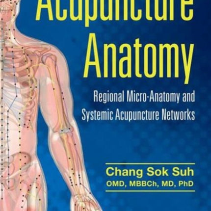 Acupuncture Anatomy