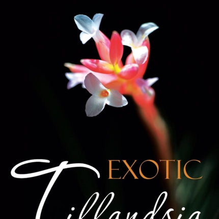 Exotic Tillandsia