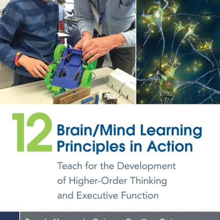 12 BrainMind Learning Principles in Action