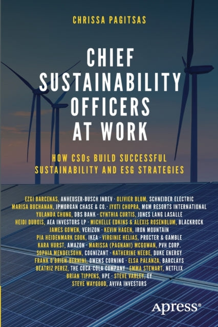 Chief Sustainability Officers At Work