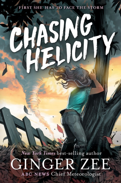 Chasing Helicity: Facing the Storm